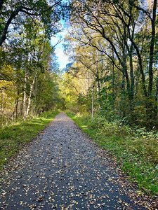 Scottish Highlands Autumn Walk